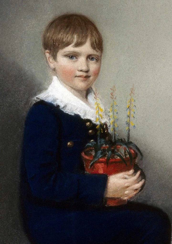 Ellen Sharples - Ritratto di Charles Darwin 1816